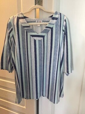 Denim&Co Vertical Stripe 1XP V-Neck Top in Shades of Blue.